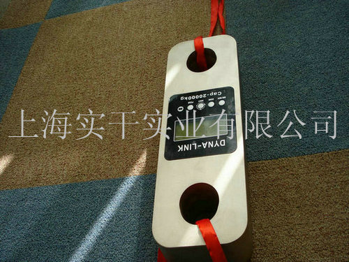 大量程推拉力計(jì)圖片
