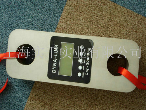 大量程推拉力計(jì)圖片